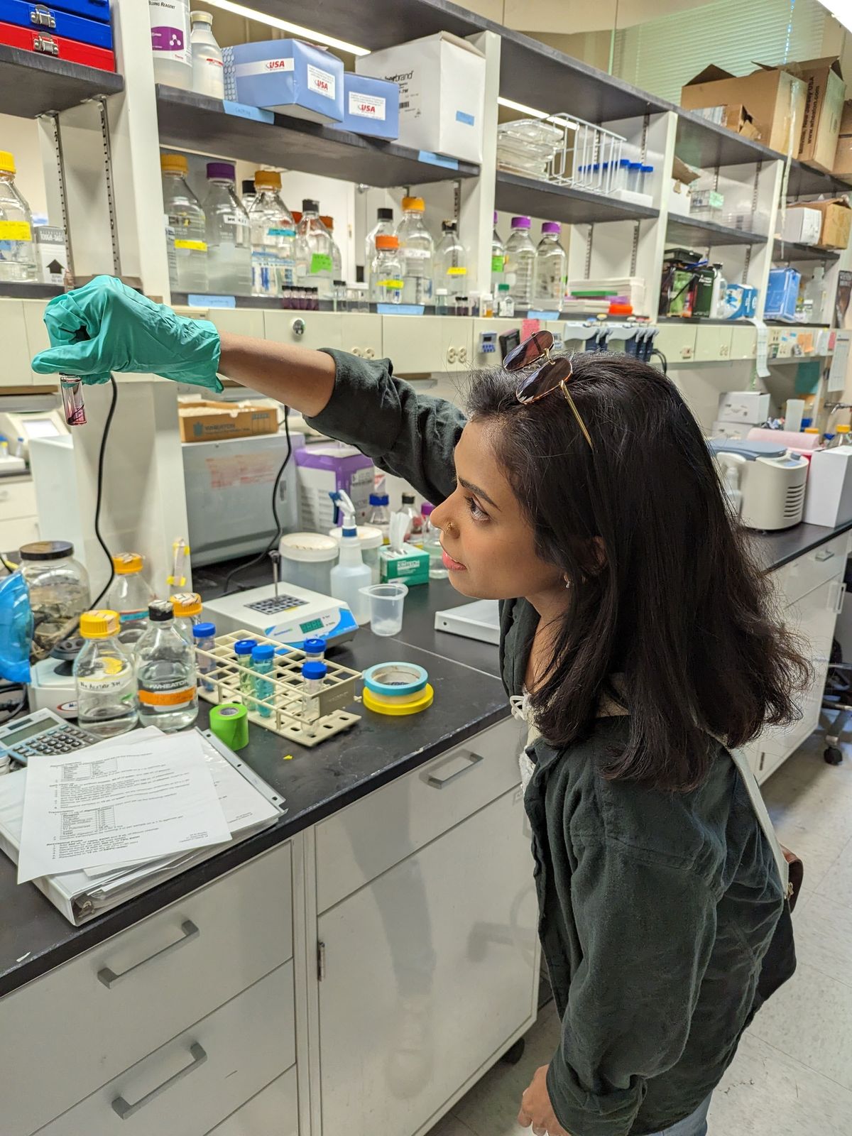 Capellini Lab at the Peabody Museum